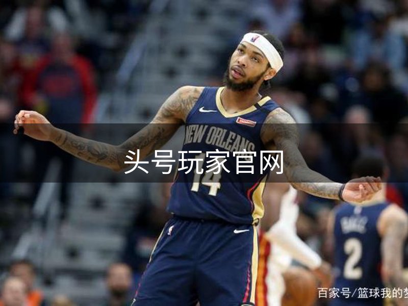 网站概况