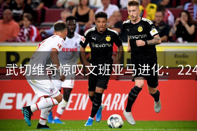 武切维奇惊叹文班亚马进化：224cm的防守梦魇与进攻全能王